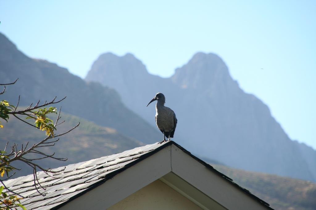 Keren'S Vine Guesthouse Stellenbosch Exterior foto